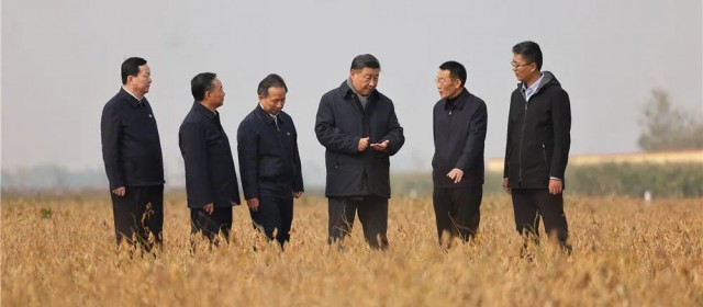 “盐碱地上长出了‘金疙瘩’！”